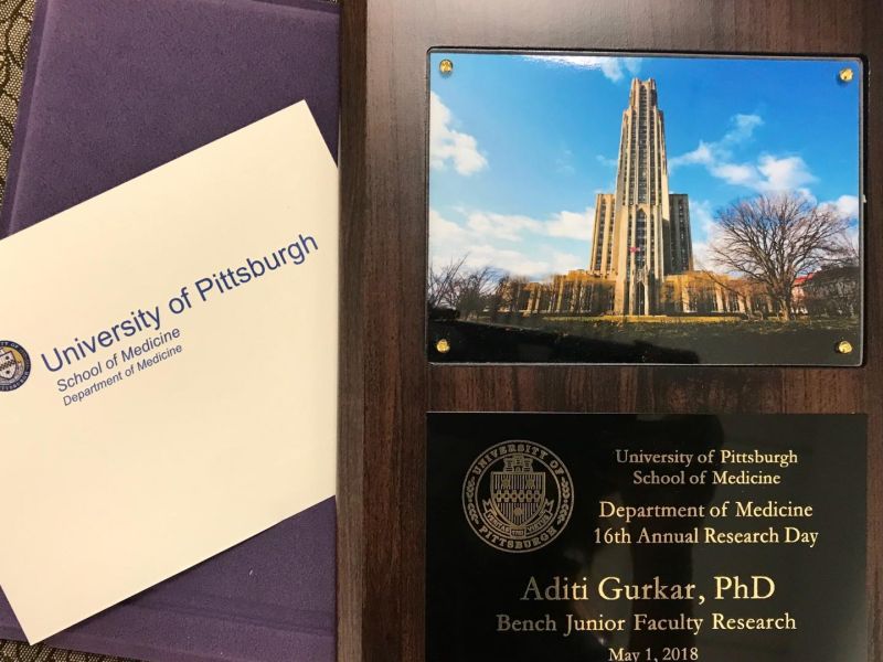 Aging Institute study the biology of aging