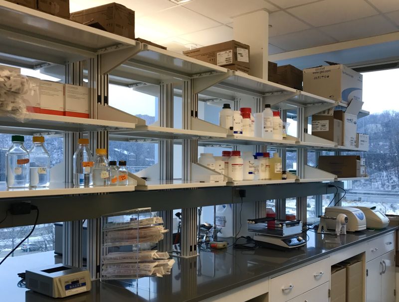 Aging Institute study the biology of aging